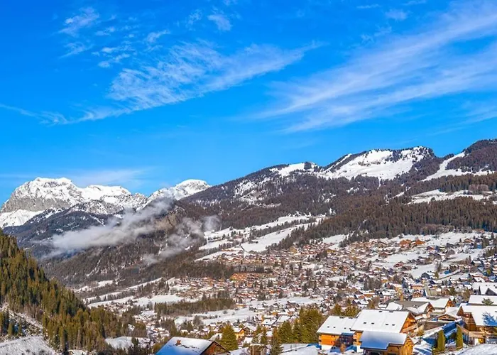 De Vonnes 8 - - Bo Immobilier - -reduced Prices On Passes & Portes Du Soleil * 沙泰勒